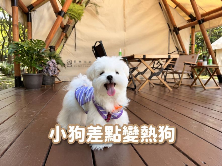 | 瑪爾濟斯卡比_夏日神器推薦