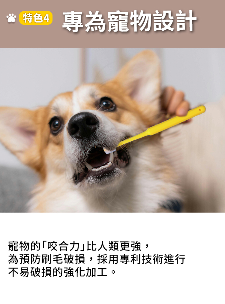 STI-IR 文案圖